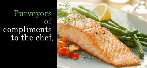 Salmon Salmon