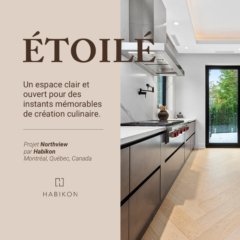 Projet-Northview-Constructions-Neuves-Montréal Projet-Northview-Constructions-Neuves-Montréal