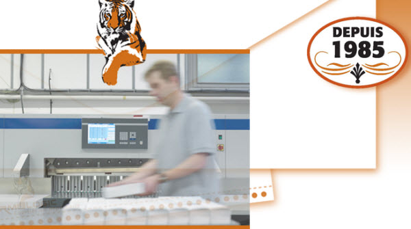 Imprimeur au travail - un metier de precision