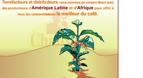 Torréfaction idéale sans goût de brulé Torréfaction idéale sans goût de brulé