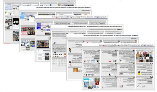 Stakeholder proyecto software