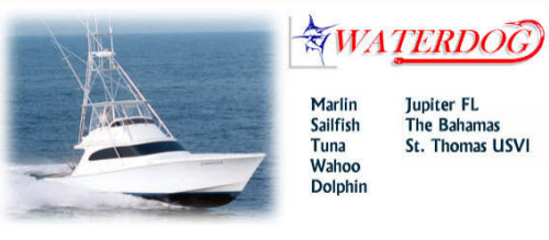 Bahamas Charter Bahamas Charter